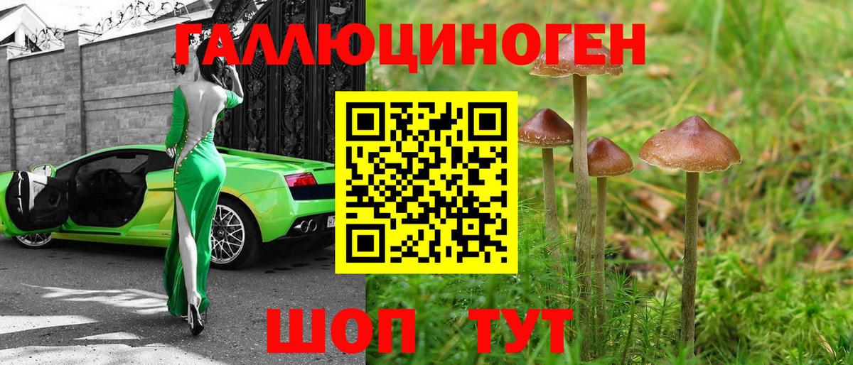 Галлюциногенные грибы Psilocybe Алапаевск