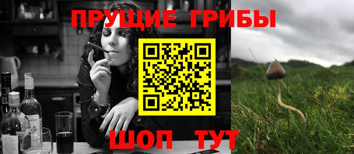 Псилоцибиновые грибы мицелий  Галлюциногенные грибы Cubensis  Алапаевск  Вход с VPN 